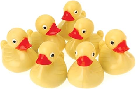 Yellow Duck Pond Floaters