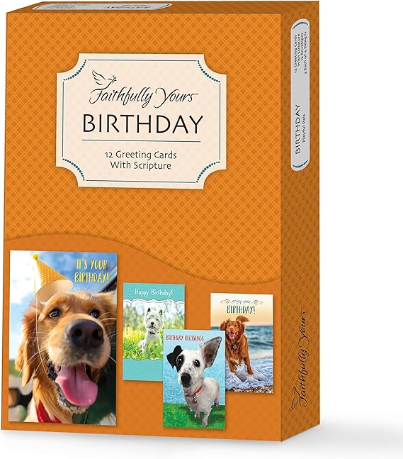 Happy Birthday from Playful Pals with Biblical Scripture Verses (Box of 12 Greeting Cards with Envelopes)