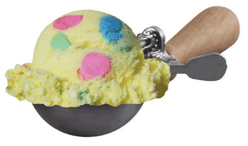 Kiddie Ice Cream Scoop — Stensland's Premium Ice Cream | Blazing Dealz Viborg SD