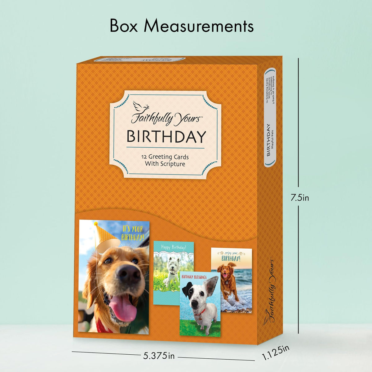 Designer Greetings Faithfully Yours Boxed Everyday Assortment Cards