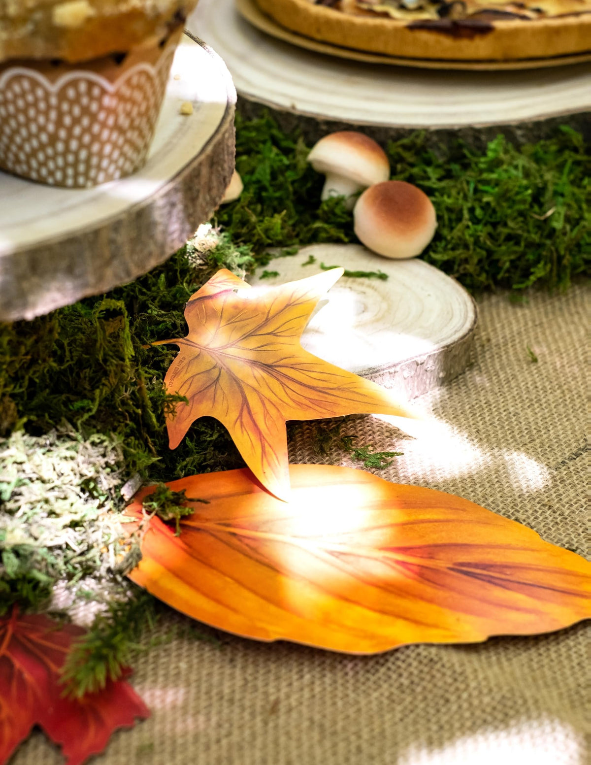 Beistle Fall Leaf Cutouts