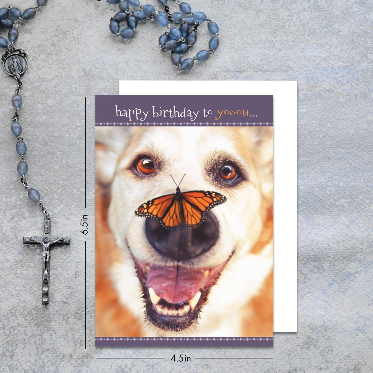 Faithfully Yours Designer Greetings Cute Birthday Boxed Card Assortment, Furry Friends with Biblical Scripture Verses (Box of 12 Greeting Cards with Envelopes)