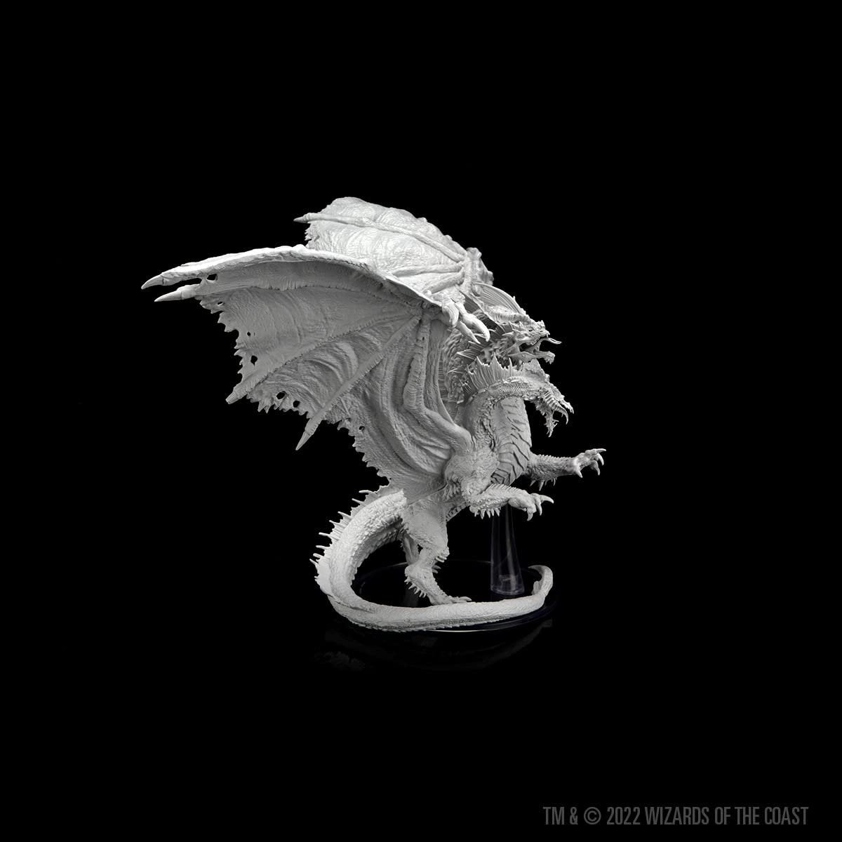 D&amp;D Nolzur&#39;s Marvelous Miniatures: Aspect of Tiamat