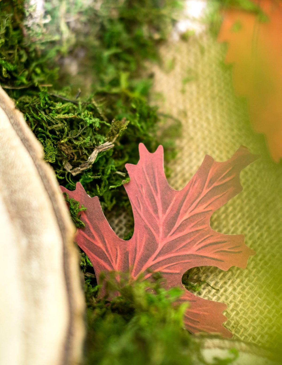 Beistle Fall Leaf Cutouts