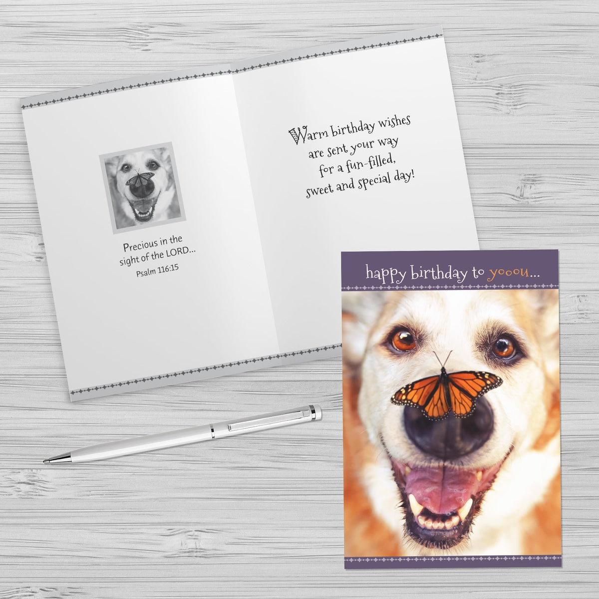 Faithfully Yours Designer Greetings Cute Birthday Boxed Card Assortment, Furry Friends with Biblical Scripture Verses (Box of 12 Greeting Cards with Envelopes)