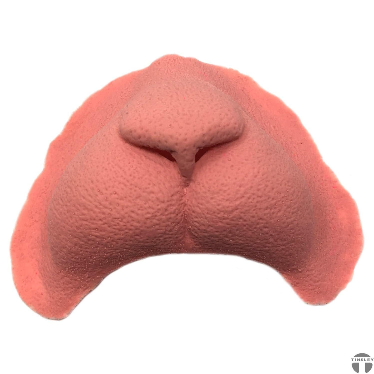 Transformative Cat Nose by Black Label Latex - Realistic Feline Costume Prosthetic for Halloween and Cosplay - Professional Makeup Accessory by Christien Tinsley