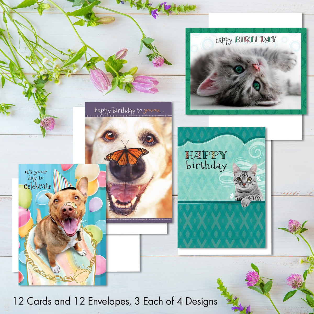 Faithfully Yours Designer Greetings Cute Birthday Boxed Card Assortment, Furry Friends with Biblical Scripture Verses (Box of 12 Greeting Cards with Envelopes)