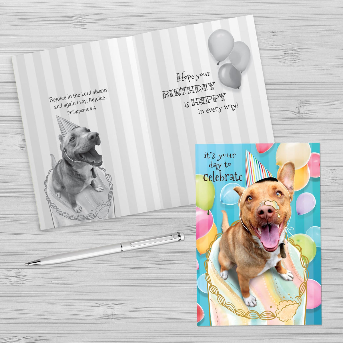 Faithfully Yours Designer Greetings Cute Birthday Boxed Card Assortment, Furry Friends with Biblical Scripture Verses (Box of 12 Greeting Cards with Envelopes)
