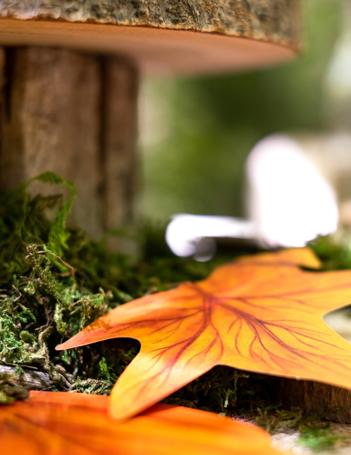 Beistle Fall Leaf Cutouts