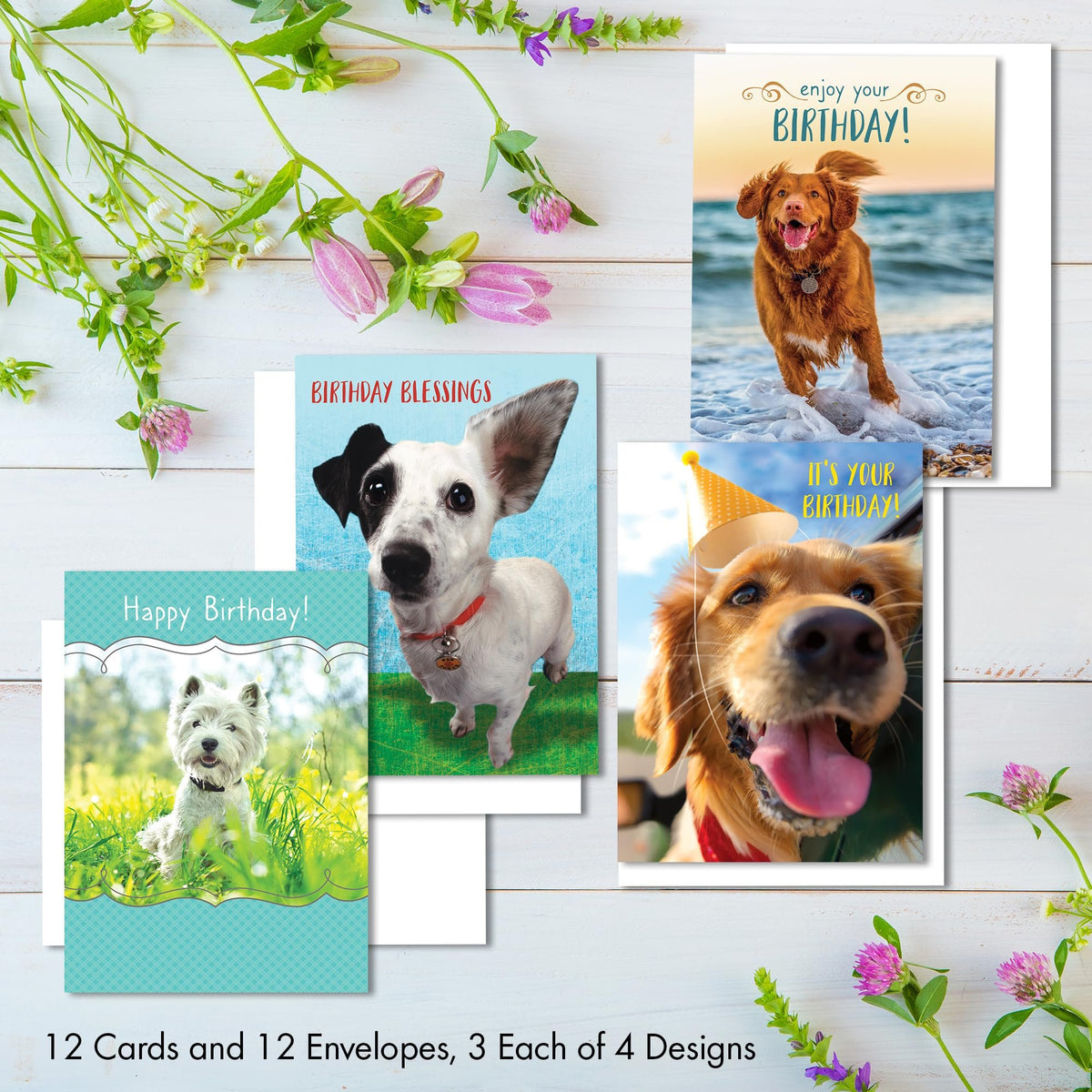 Designer Greetings Faithfully Yours Boxed Everyday Assortment Cards
