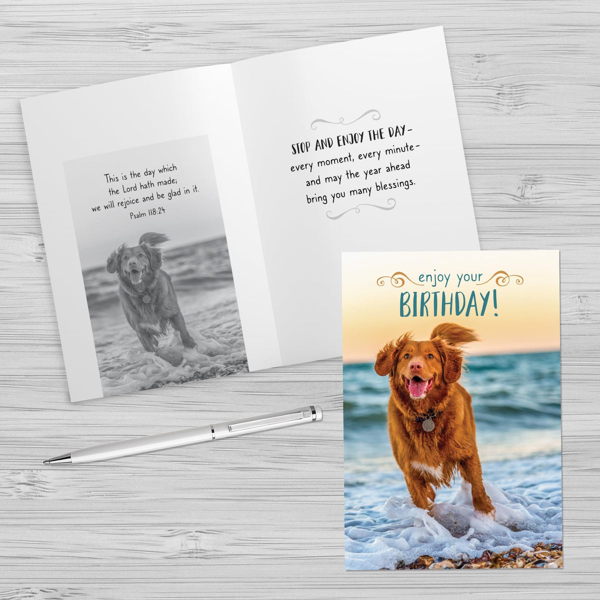 Designer Greetings Faithfully Yours Boxed Everyday Assortment Cards