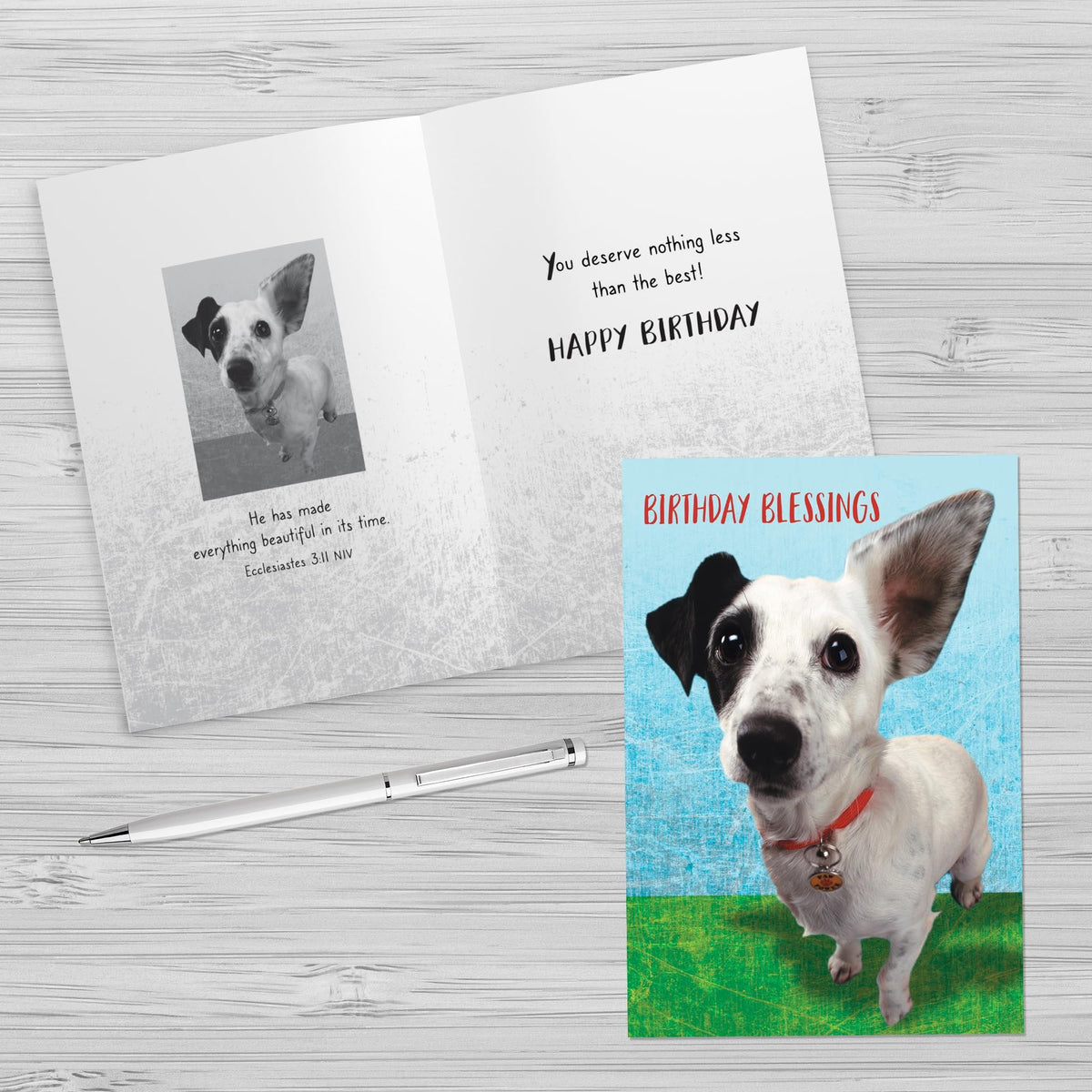 Designer Greetings Faithfully Yours Boxed Everyday Assortment Cards