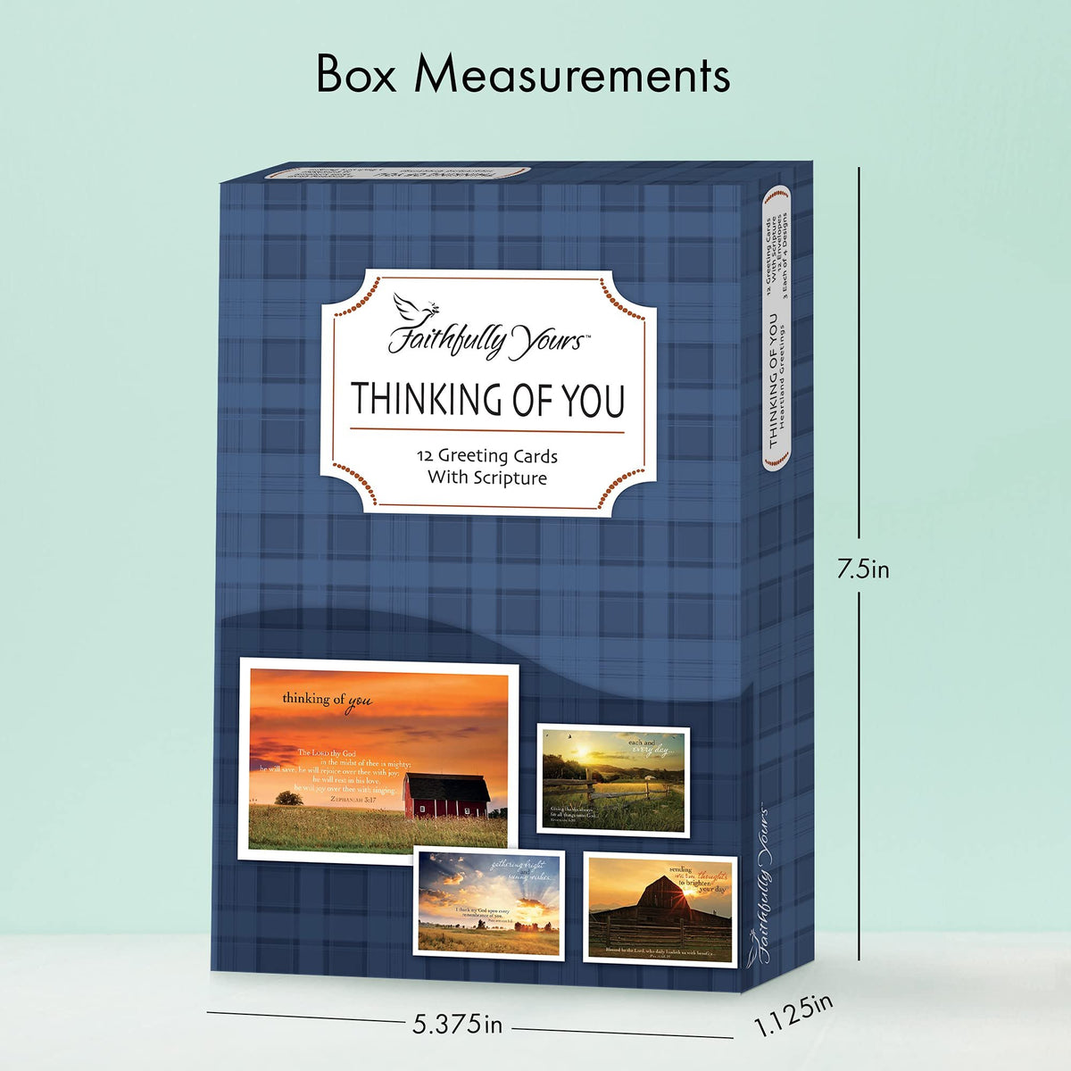 Designer Greetings Faithfully Yours Inspirational Thinking of You Boxed Card Assortment, Biblical Scripture Verses (Box of 12 Greeting Cards with Envelopes)