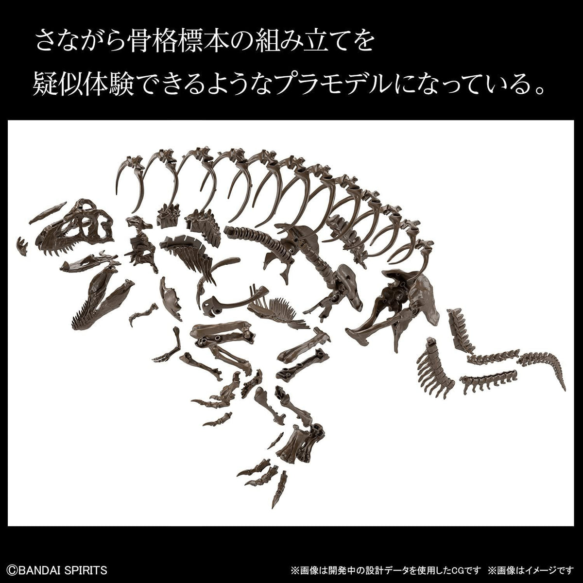 Bandai Hobby - Imaginary Skeleton - 1/32 Imaginary Skeleton Tyrannosaurus Model Kit